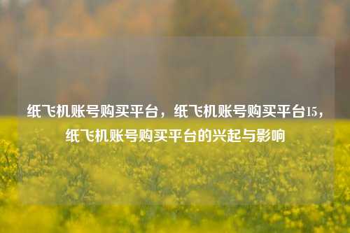 纸飞机账号购买平台	，纸飞机账号购买平台15，纸飞机账号购买平台的兴起与影响  第1张