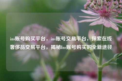 ins账号购买平台	，ins账号交易平台，探索在线奢侈品交易平台，揭秘Ins账号购买的全新途径  第1张