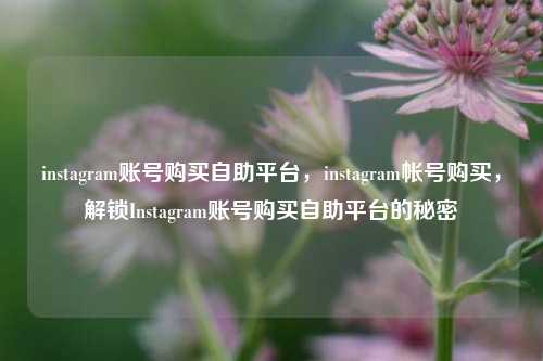 instagram账号购买自助平台，instagram帐号购买，解锁Instagram账号购买自助平台的秘密