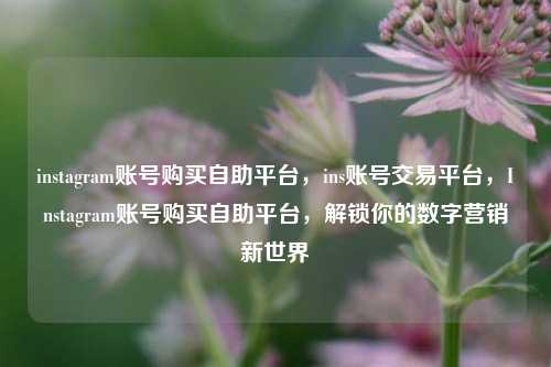 instagram账号购买自助平台，ins账号交易平台，Instagram账号购买自助平台，解锁你的数字营销新世界