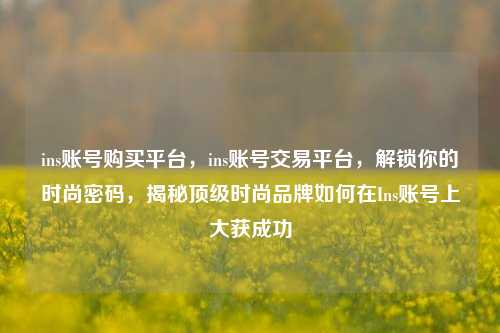 ins账号购买平台，ins账号交易平台，解锁你的时尚密码，揭秘顶级时尚品牌如何在Ins账号上大获成功
