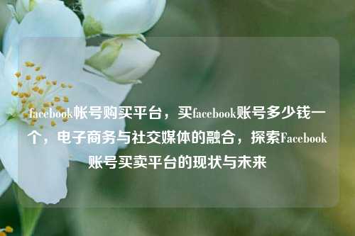 facebook帐号购买平台，买facebook账号多少钱一个，电子商务与社交媒体的融合，探索Facebook账号买卖平台的现状与未来