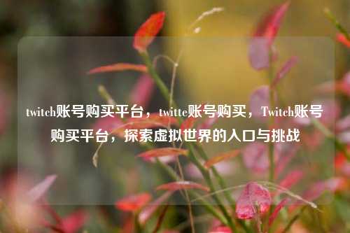 twitch账号购买平台，twitte账号购买，Twitch账号购买平台，探索虚拟世界的入口与挑战