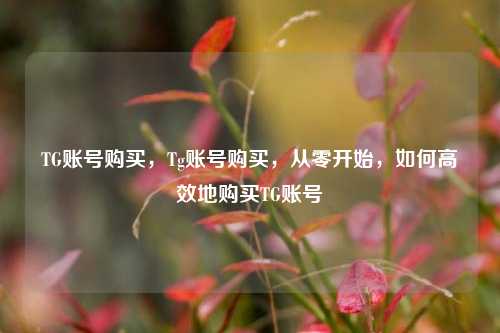 TG账号购买，Tg账号购买，从零开始，如何高效地购买TG账号  第1张