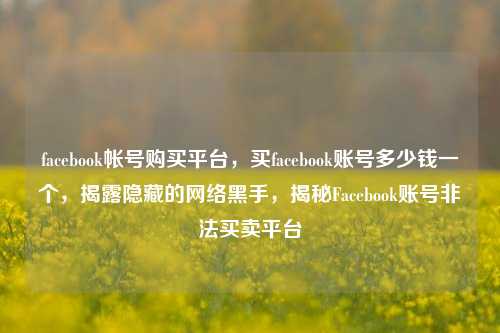 facebook帐号购买平台，买facebook账号多少钱一个，揭露隐藏的网络黑手，揭秘Facebook账号非法买卖平台