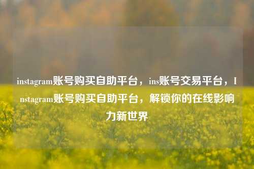 instagram账号购买自助平台，ins账号交易平台	，Instagram账号购买自助平台，解锁你的在线影响力新世界  第1张