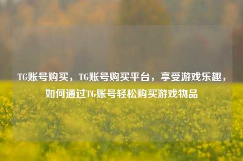 TG账号购买	，TG账号购买平台，享受游戏乐趣，如何通过TG账号轻松购买游戏物品  第1张