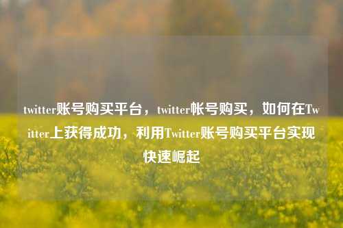 twitter账号购买平台，twitter帐号购买，如何在Twitter上获得成功，利用Twitter账号购买平台实现快速崛起