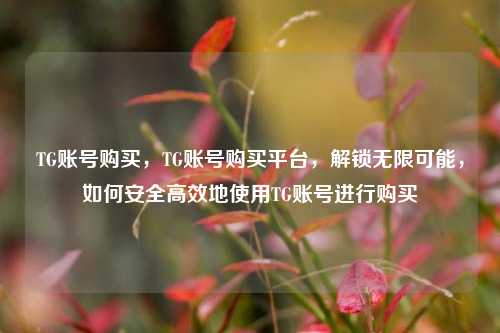 TG账号购买，TG账号购买平台	，解锁无限可能，如何安全高效地使用TG账号进行购买  第1张