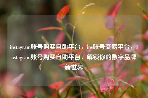 instagram账号购买自助平台，ins账号交易平台，Instagram账号购买自助平台，解锁你的数字品牌新世界