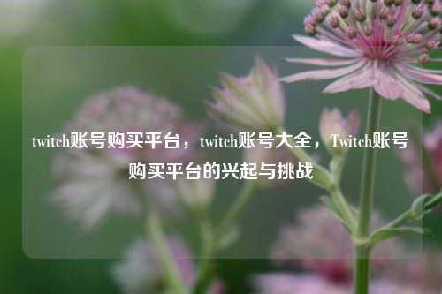 twitch账号购买平台	，twitch账号大全，Twitch账号购买平台的兴起与挑战  第1张