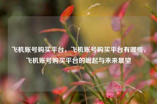 飞机账号购买平台，飞机账号购买平台有哪些	，飞机账号购买平台的崛起与未来展望  第1张