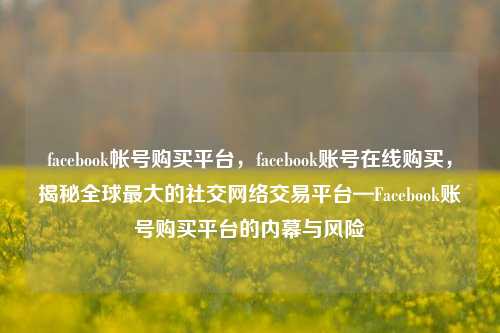 facebook帐号购买平台，facebook账号在线购买，揭秘全球最大的社交网络交易平台—Facebook账号购买平台的内幕与风险