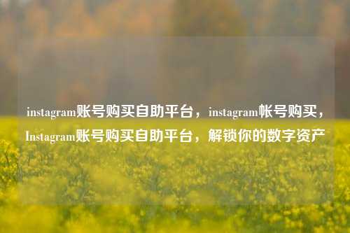 instagram账号购买自助平台，instagram帐号购买，Instagram账号购买自助平台，解锁你的数字资产