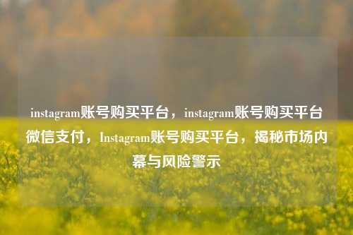 instagram账号购买平台，instagram账号购买平台微信支付，Instagram账号购买平台，揭秘市场内幕与风险警示