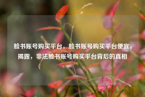 脸书账号购买平台，脸书账号购买平台便宜，揭露，非法脸书账号购买平台背后的真相