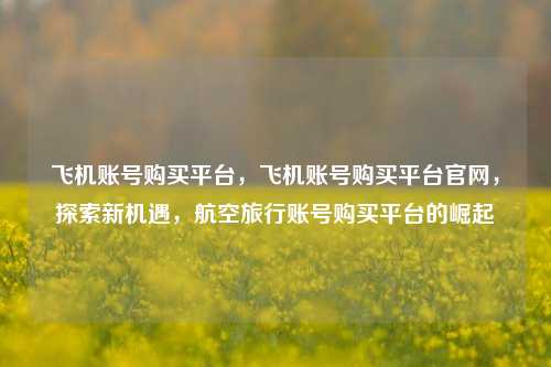 飞机账号购买平台	，飞机账号购买平台官网，探索新机遇，航空旅行账号购买平台的崛起  第1张