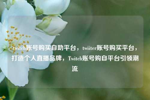 twitch账号购买自助平台，twiiter账号购买平台，打造个人直播品牌，Twitch账号购自平台引领潮流