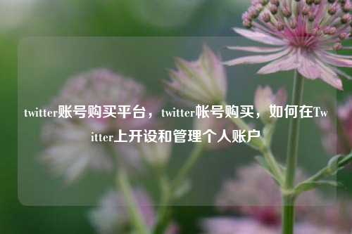 twitter账号购买平台，twitter帐号购买，如何在Twitter上开设和管理个人账户