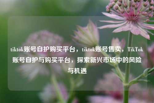 tiktok账号自护购买平台，tiktok账号售卖，TikTok账号自护与购买平台，探索新兴市场中的风险与机遇