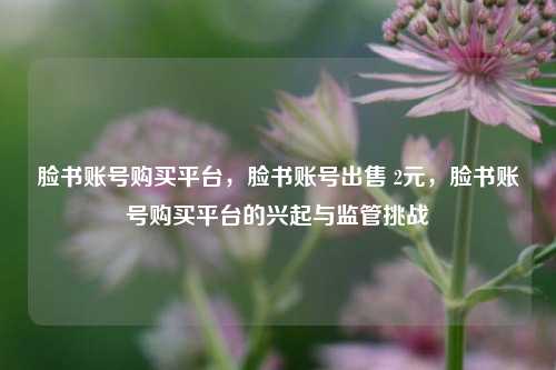 脸书账号购买平台，脸书账号出售 2元，脸书账号购买平台的兴起与监管挑战