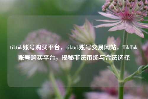 tiktok账号购买平台	，tiktok账号交易网站，TikTok账号购买平台，揭秘非法市场与合法选择  第1张