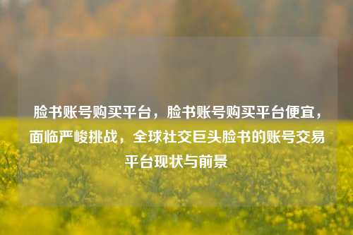 脸书账号购买平台，脸书账号购买平台便宜，面临严峻挑战，全球社交巨头脸书的账号交易平台现状与前景