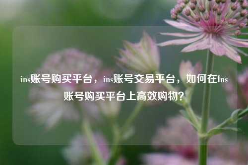 ins账号购买平台，ins账号交易平台，如何在Ins账号购买平台上高效购物？