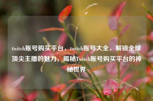 twitch账号购买平台，twitch账号大全，解锁全球顶尖主播的魅力，揭秘Twitch账号购买平台的神秘世界