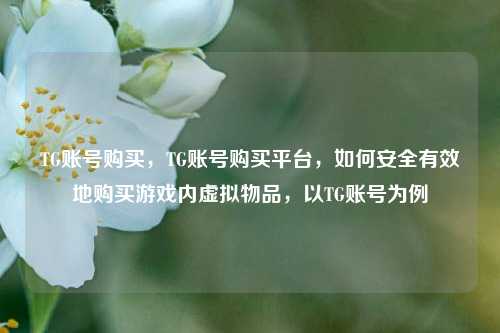 TG账号购买，TG账号购买平台，如何安全有效地购买游戏内虚拟物品，以TG账号为例