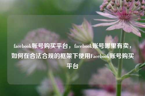 facebook帐号购买平台，facebook账号哪里有卖，如何在合法合规的框架下使用Facebook账号购买平台