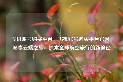 飞机账号购买平台，飞机账号购买平台官网，畅享云端之旅，探索全球航空旅行的新途径