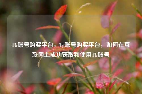 TG账号购买平台，Tg账号购买平台，如何在互联网上成功获取和使用TG账号