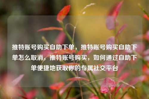 推特账号购买自助下单，推特账号购买自助下单怎么取消，推特账号购买，如何通过自助下单便捷地获取你的专属社交平台