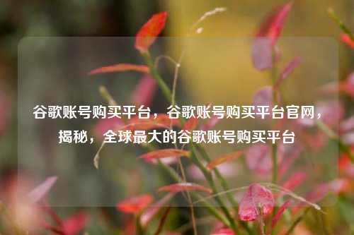 谷歌账号购买平台，谷歌账号购买平台官网，揭秘，全球最大的谷歌账号购买平台
