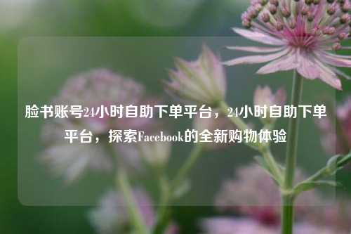 脸书账号24小时自助下单平台，24小时自助下单平台，探索Facebook的全新购物体验