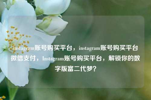 instagram账号购买平台，instagram账号购买平台微信支付，Instagram账号购买平台，解锁你的数字版富二代梦？