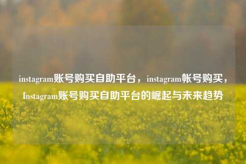 instagram账号购买自助平台，instagram帐号购买，Instagram账号购买自助平台的崛起与未来趋势