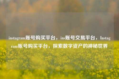 instagram账号购买平台，ins账号交易平台，Instagram账号购买平台，探索数字资产的神秘世界