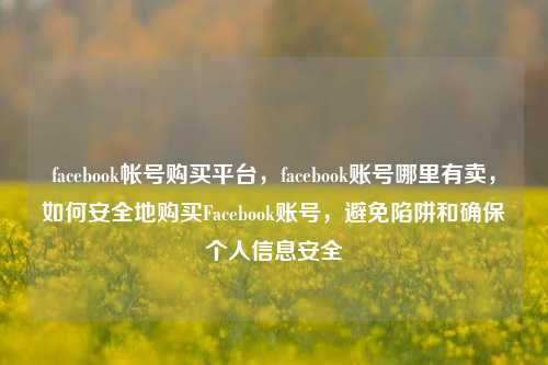 facebook帐号购买平台，facebook账号哪里有卖，如何安全地购买Facebook账号，避免陷阱和确保个人信息安全