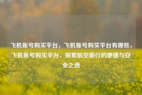 飞机账号购买平台，飞机账号购买平台有哪些，飞机账号购买平台，探索航空旅行的便捷与安全之道