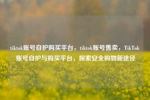 tiktok账号自护购买平台，tiktok账号售卖，TikTok 账号自护与购买平台，探索安全购物新途径