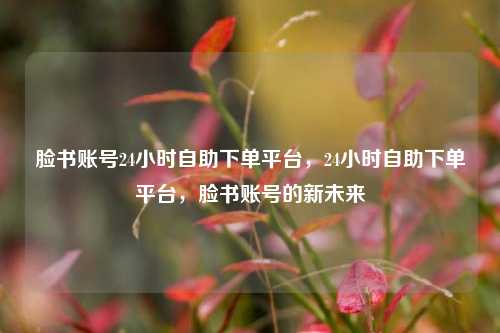 脸书账号24小时自助下单平台，24小时自助下单平台，脸书账号的新未来