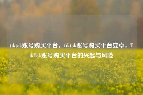 tiktok账号购买平台，tiktok账号购买平台安卓，TikTok账号购买平台的兴起与风险