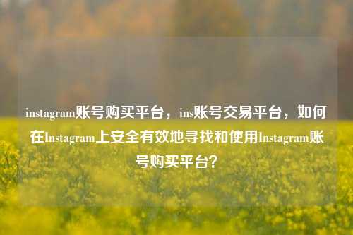 instagram账号购买平台，ins账号交易平台，如何在Instagram上安全有效地寻找和使用Instagram账号购买平台？