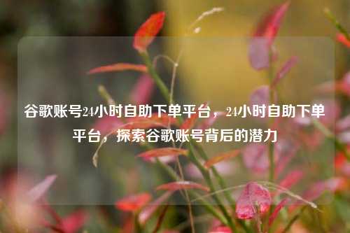 谷歌账号24小时自助下单平台，24小时自助下单平台，探索谷歌账号背后的潜力
