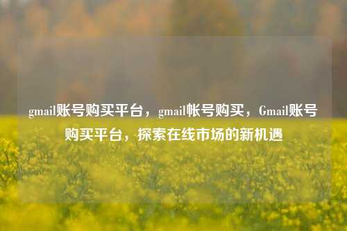 gmail账号购买平台，gmail帐号购买，Gmail账号购买平台，探索在线市场的新机遇