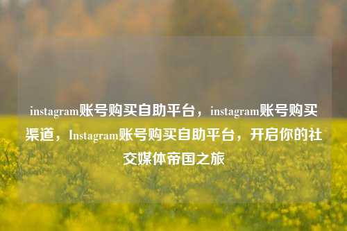 instagram账号购买自助平台，instagram账号购买渠道，Instagram账号购买自助平台，开启你的社交媒体帝国之旅
