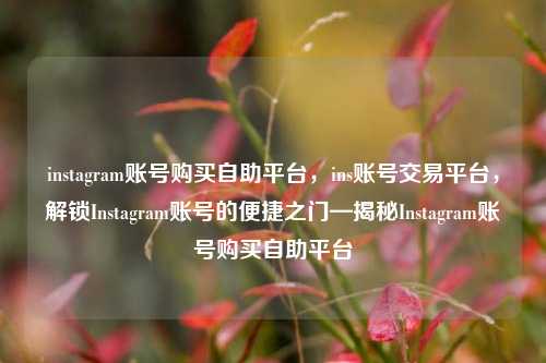 instagram账号购买自助平台，ins账号交易平台，解锁Instagram账号的便捷之门—揭秘Instagram账号购买自助平台  第1张