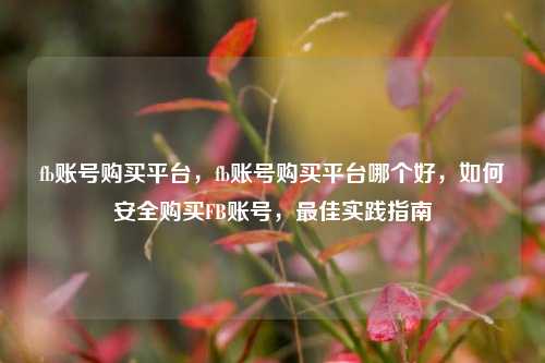 fb账号购买平台，fb账号购买平台哪个好，如何安全购买FB账号，最佳实践指南